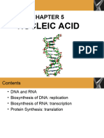 Chapter 5 Nucleic Acid