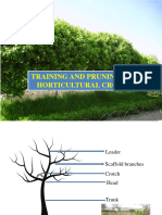 Principles of Training and Pruning