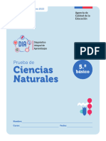 Prueba Ciencias Cierre 2023 5 Basico