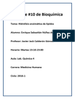 Informe 9 - Lab Bioquimica