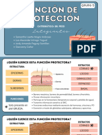 Funcion de Protección