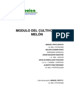 Modulo Del Cultivo de Melón