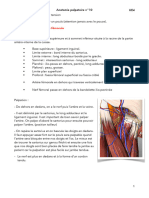 Anatomie Palpatoire N°10