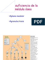 25-09 APLASIA MEDULAR Clase 2007