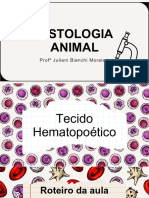 Aula Hematopoiético 