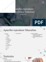 Aparelho Reprodutor Masculino e Feminino