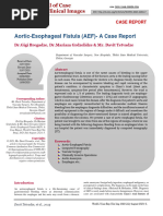 Aortic-Esophageal Fistula (AEF) - A Case Report