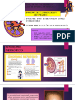 Glomerulopatías Primarias y Secundarias