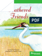 10 Feathered Friends