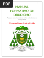 Qué Es El Druidismo PDF