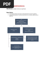 Unidades Morfologicas