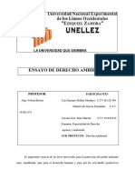 Ensayo de Derecho A. Definitiva 12346