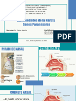 Enfermedades de La Nariz y Senos Paranasales