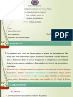 Evoluicao de Plantas Slide - MP