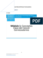 Módulo 1 - Conceptos Clave Del Cáncer Cervicouterino