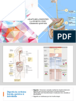 Curs Ergofiziologie - Adaptarea Digestiei La Efortul Fizic Alimentatia Sportivului