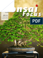 Bonsai Focus EN - 11 12 2023