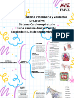 Sistema Cardiorespiratorio