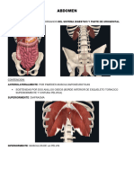 ABDOMEN