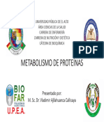 5.5 Metabolismo Prot