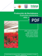 PRODUCCNOCHBUENA