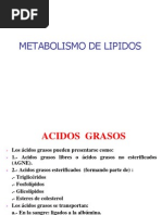 Metabolismo de Lipidos