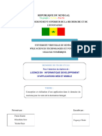 Memoire Licence2