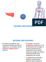 Anatomia Humana Cap 4 Sistema Circulatorio