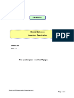 NS Grade 8 Test November 2021 Past Paper