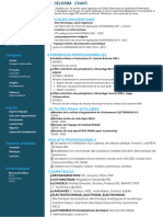 CV Chafiii PDF