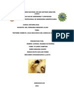 Informe Sobre El Gorgojo de Los Andes