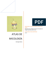 Atlas de Micologia Corregido