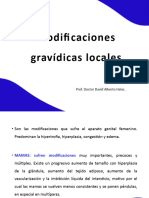 Modificaciones Gravidicas Locales