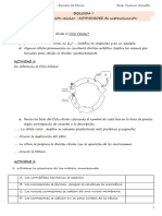 UNIDAD 2 - Tema 3 - ACTIVIDADES DE AUTOEVALUACION Mitosis y Ciclo Celular - 2022