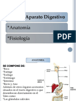 1.1.6 Aparato Digestivo