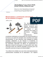 Biomecánica y Resistencia Estructural de Los Árboles