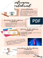 Columna Vertebral