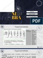 Aula 2 - Trypanosomatidae