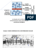 Clase Excitabilidad Celular 2019-1