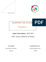 Rapport de Stage de Soins - Infirmier