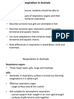 Respiration in Animals