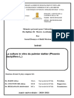 La Culture in Vitro Du Palmier Dattier