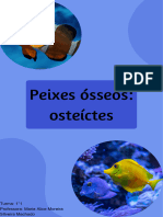 Peixes Ósseos