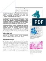 Cytopathology