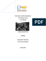 Herramientas de Networking Básicas