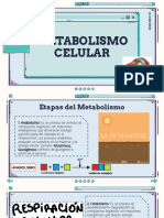 METABOLISMO CELULAR Grupo 2