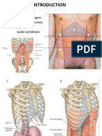 3 Muscles of AAW For UG