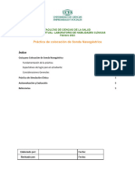 Colocación Sonda Nasogastrica