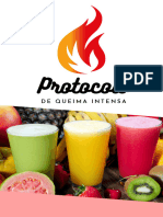 Ebook Protocolo de Queima