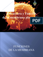 2.-Estructura y Funcion de La Membrana Plasmatica